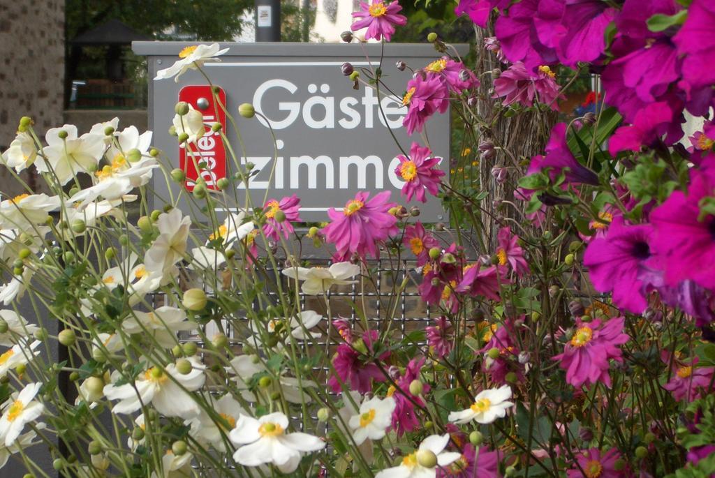 Gaestehaus Weberskirch ارنست المظهر الخارجي الصورة